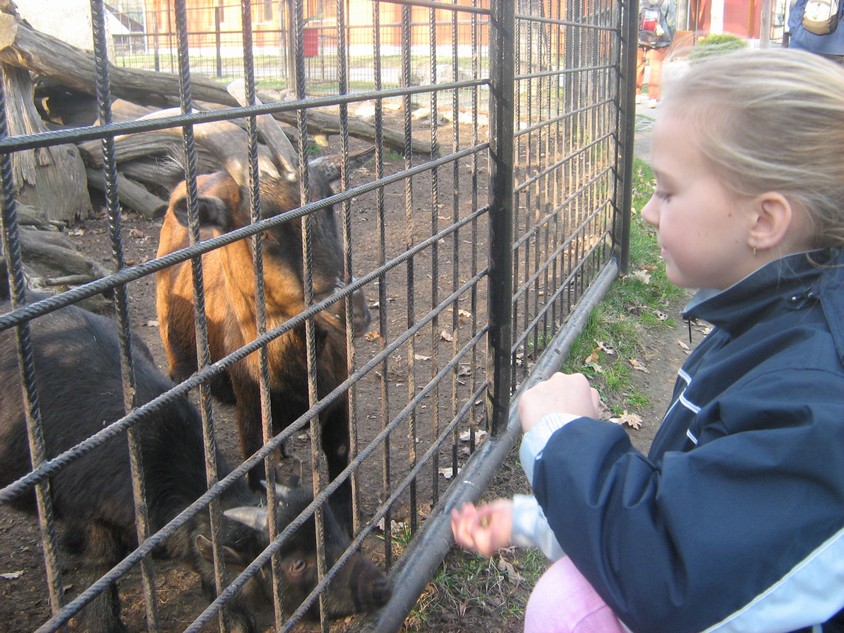 Zoo Hodonín 010.jpg